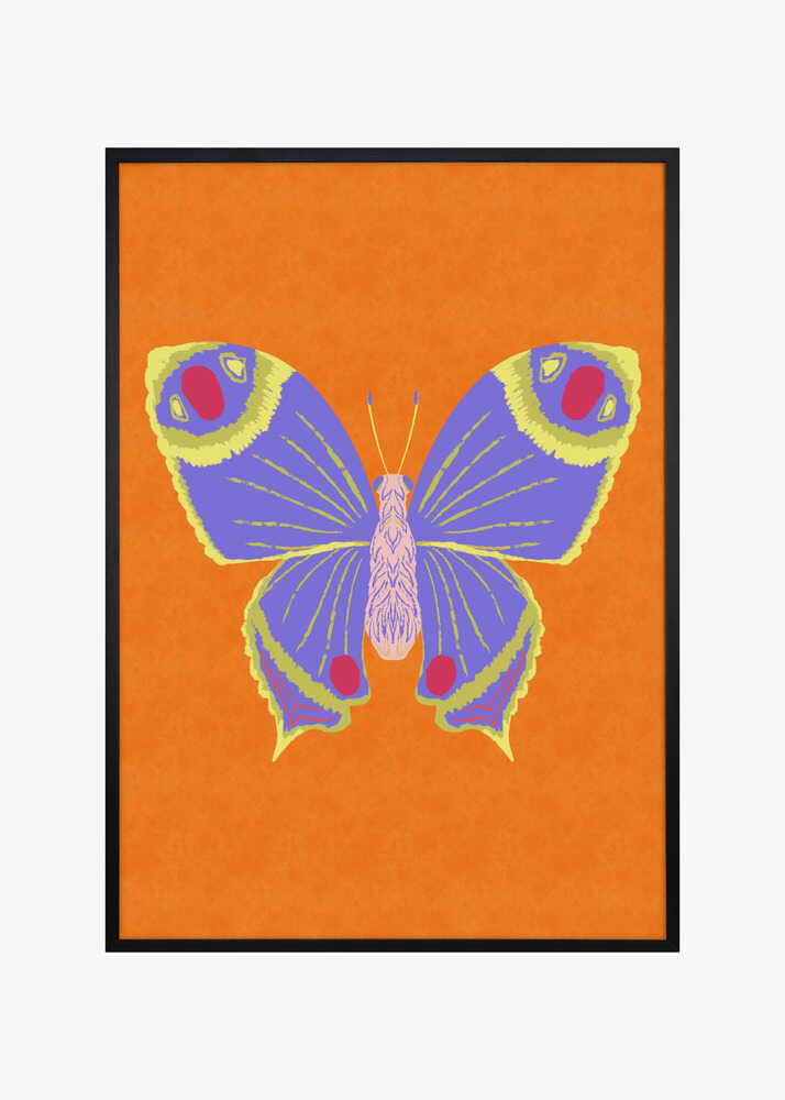 Vibrant Purple Butterfly
