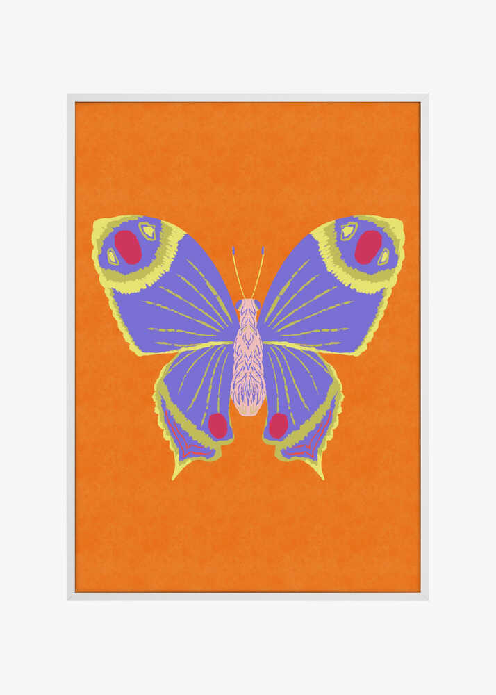 Vibrant Purple Butterfly