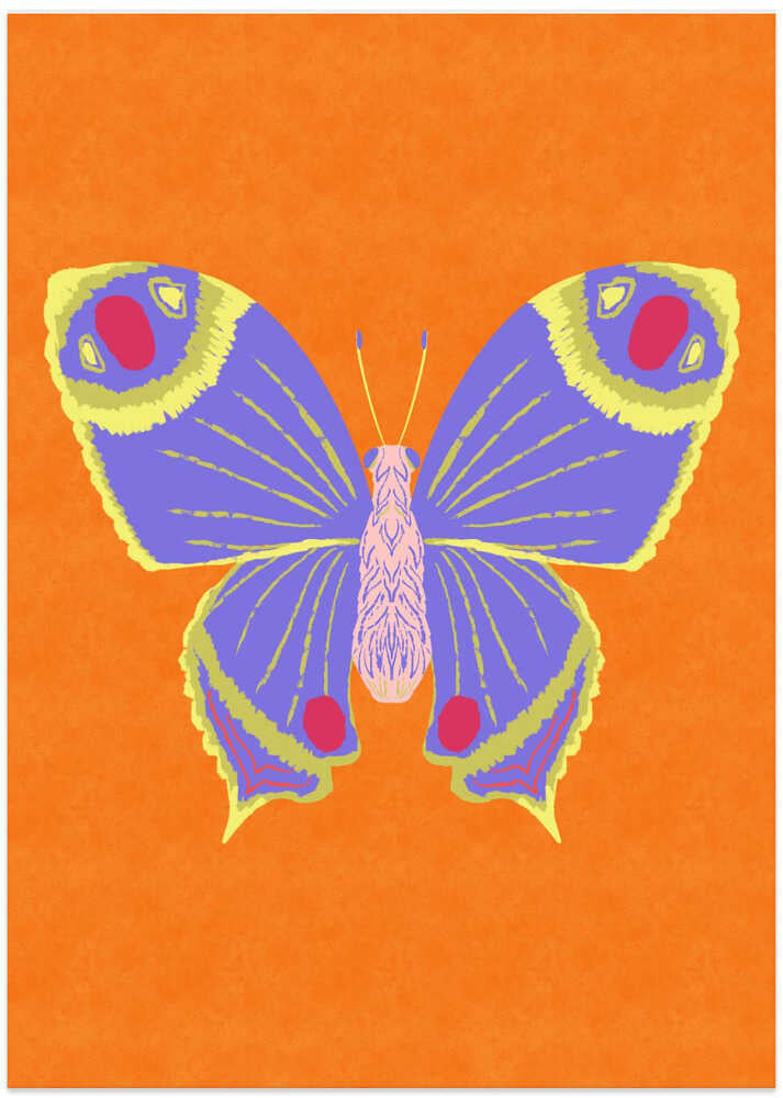 Vibrant Purple Butterfly