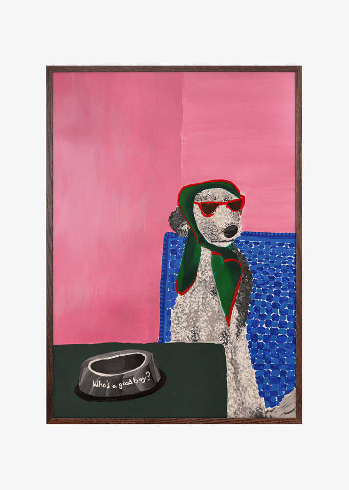 Stylish Poodle Sunglasses