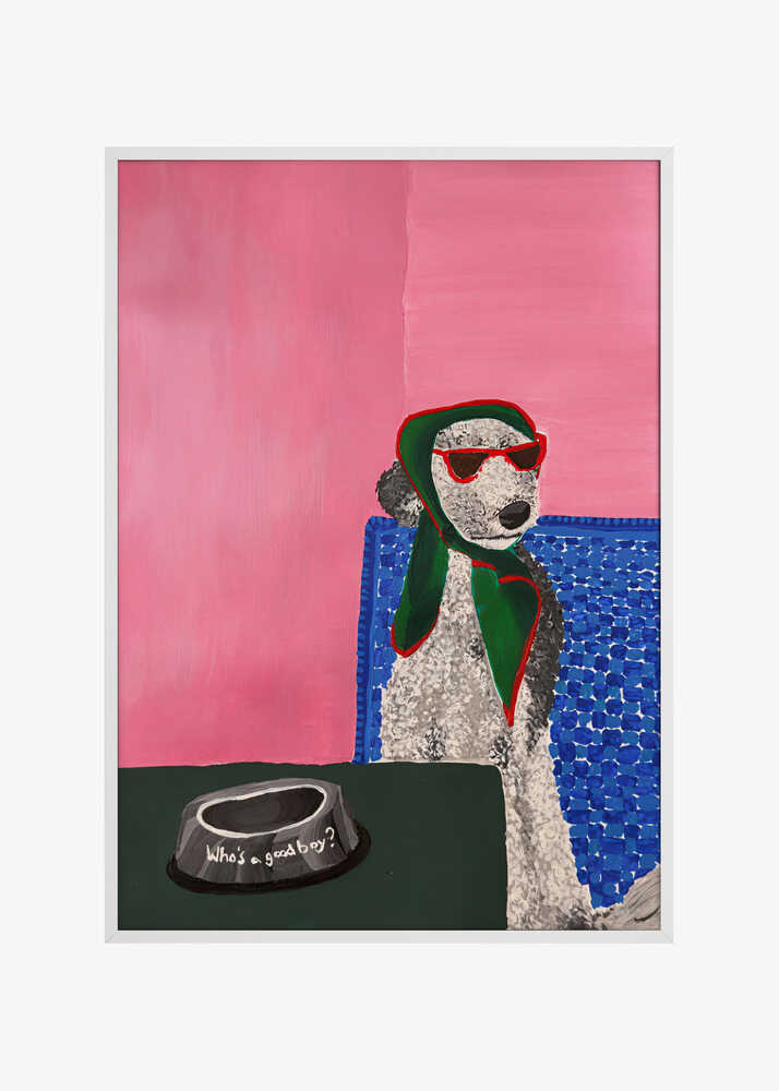 Stylish Poodle Sunglasses