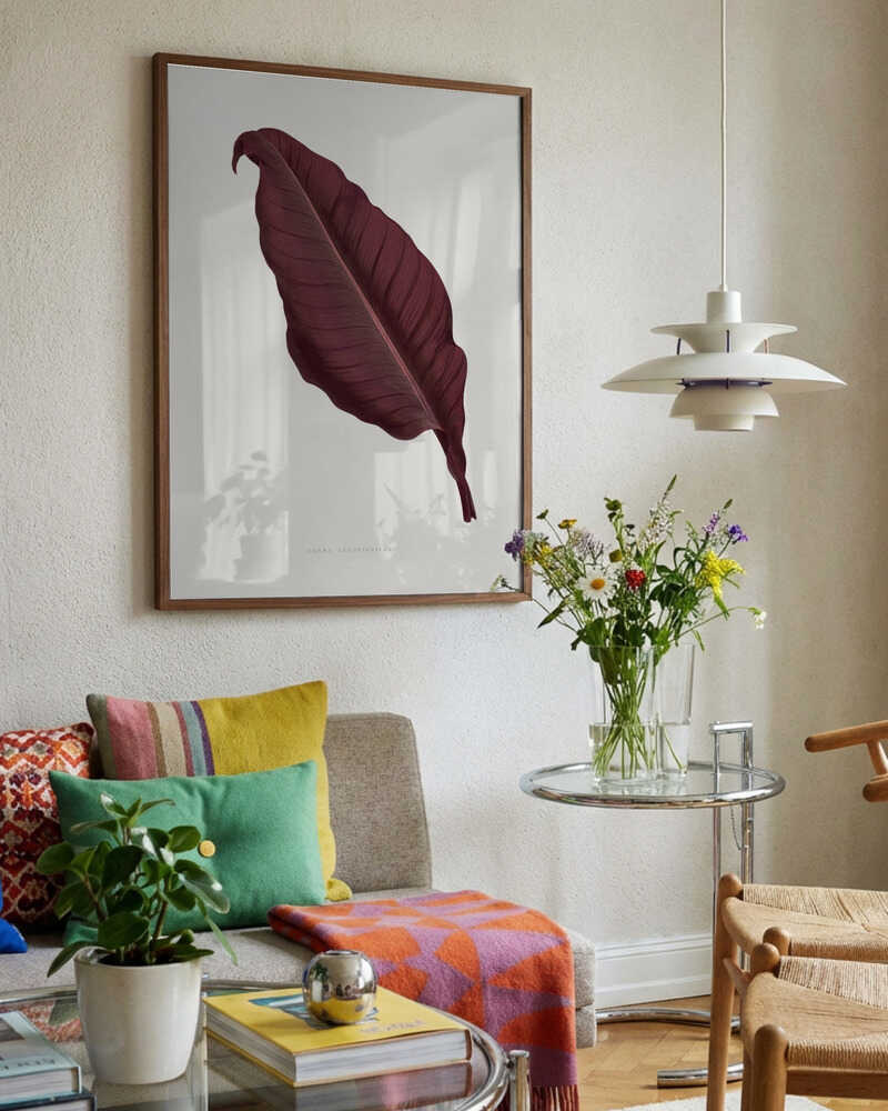 Pink Canna Atronigricans Leaf Illustration