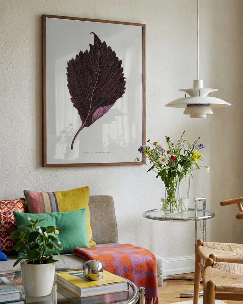 Pink Perilla Nankinensis Leaf Illustration