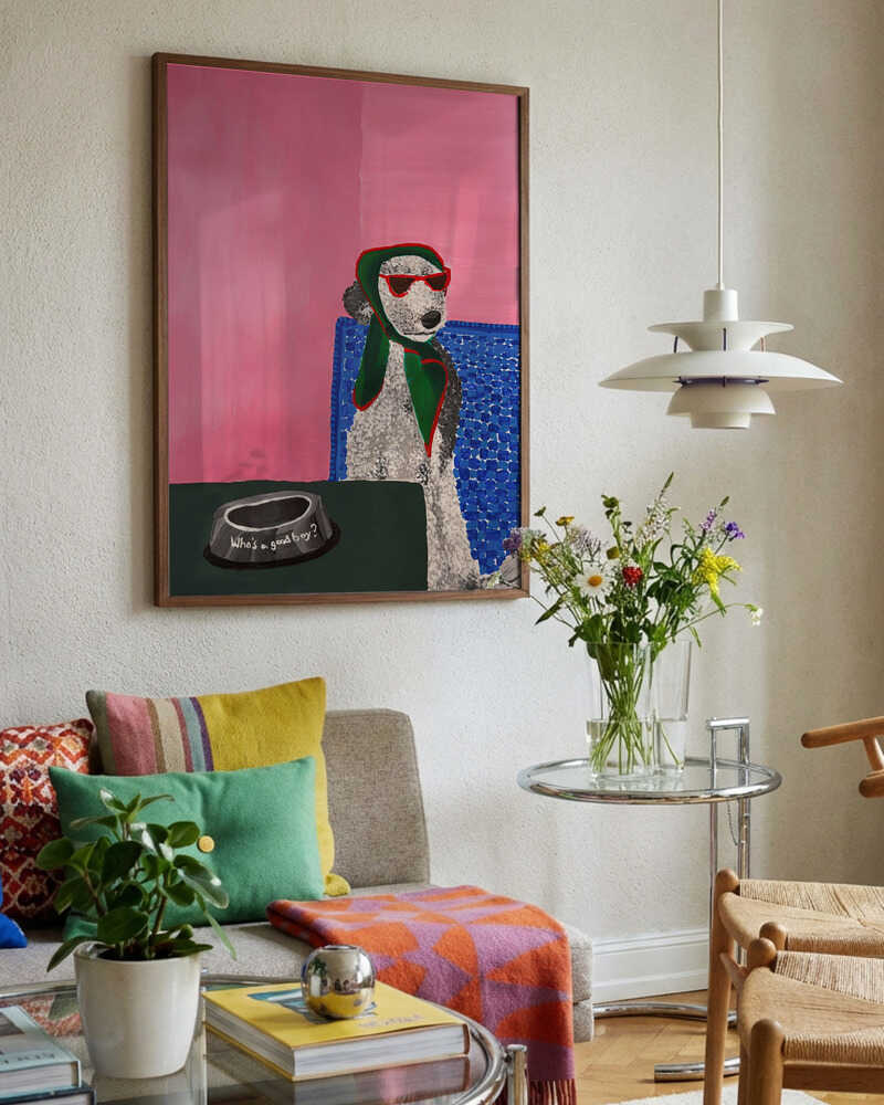 Stylish Poodle Sunglasses